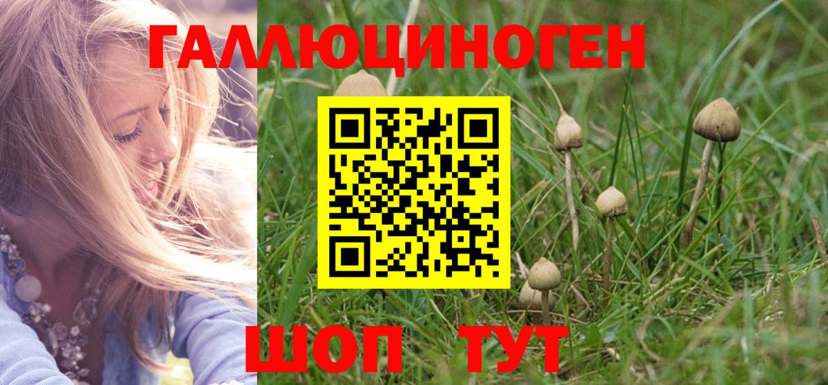 Псилоцибиновые грибы GOLDEN TEACHER Набережные Челны